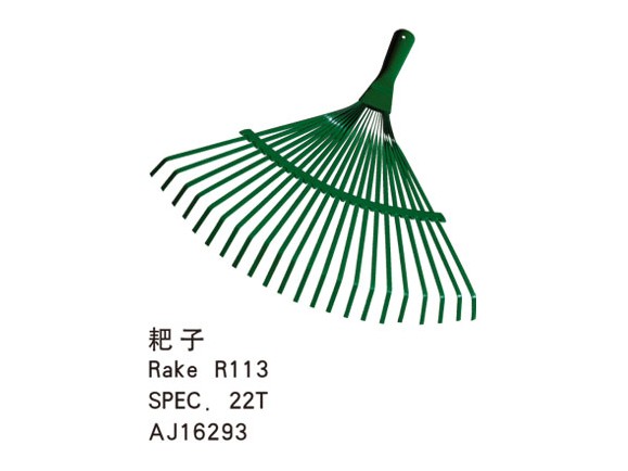 Rake R113